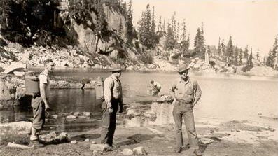 Early Trail Blazers on a lake plant
